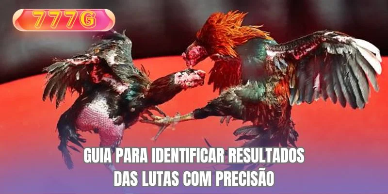 Guia para identificar resultados das lutas com precisão